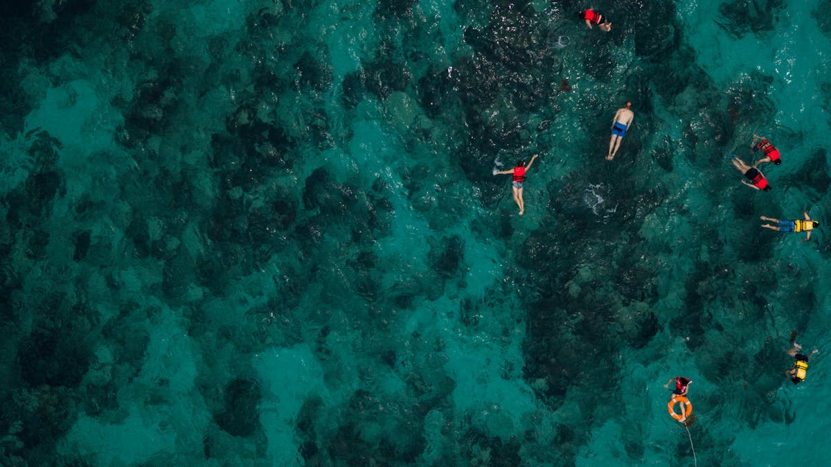 Snorkeling in Sri Lanka