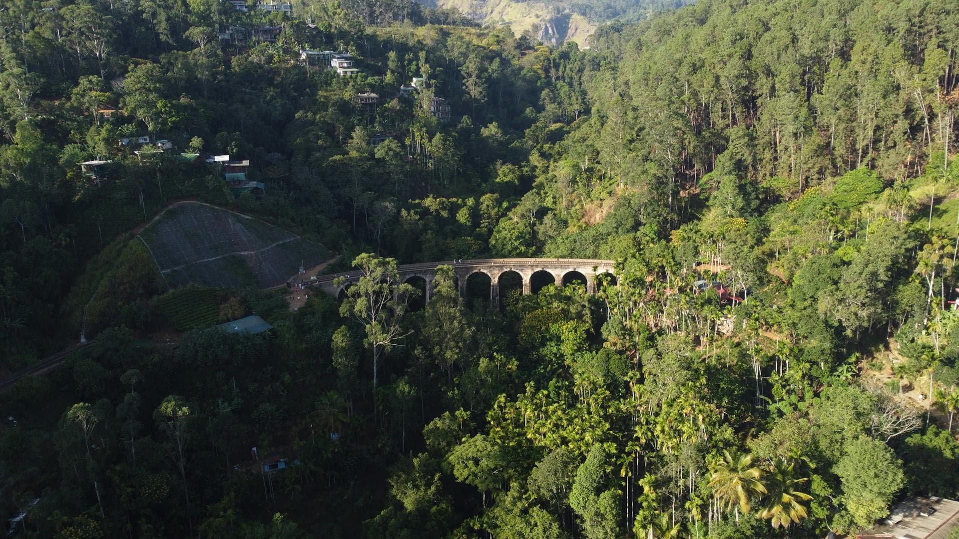 The Nine Arches Bridge curving through the lush tea hills near Ella