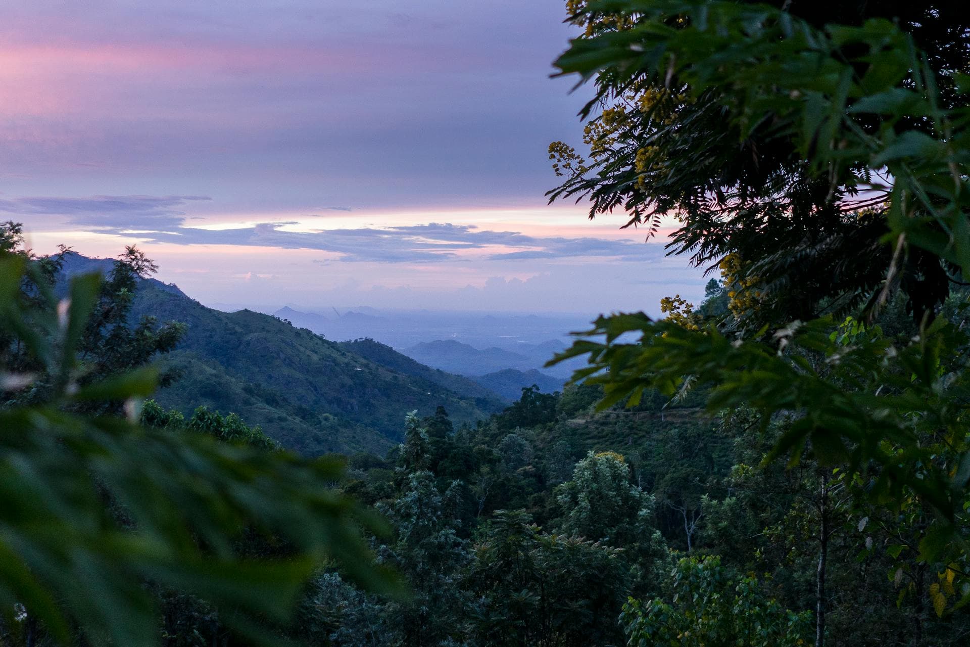 Misty Sri Lankan highland mountains glowing at dawn