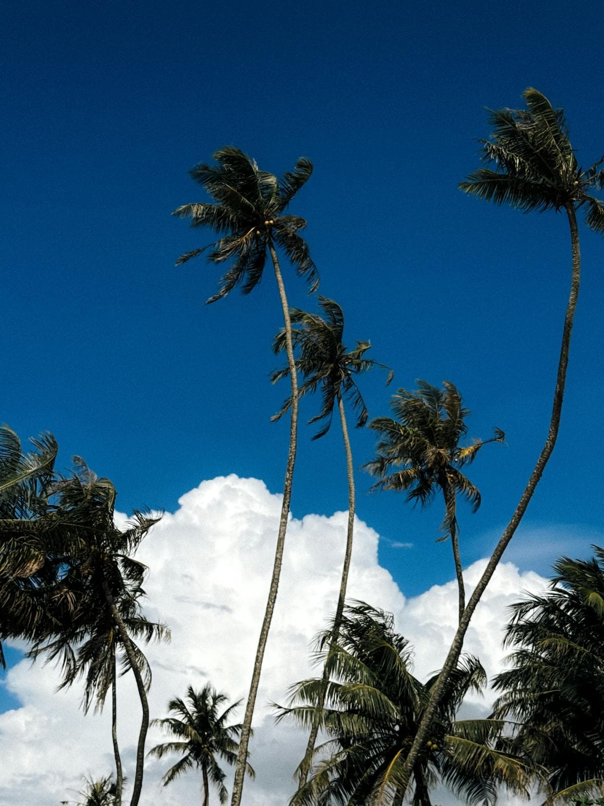 Gal Oya National Park, Sri Lanka