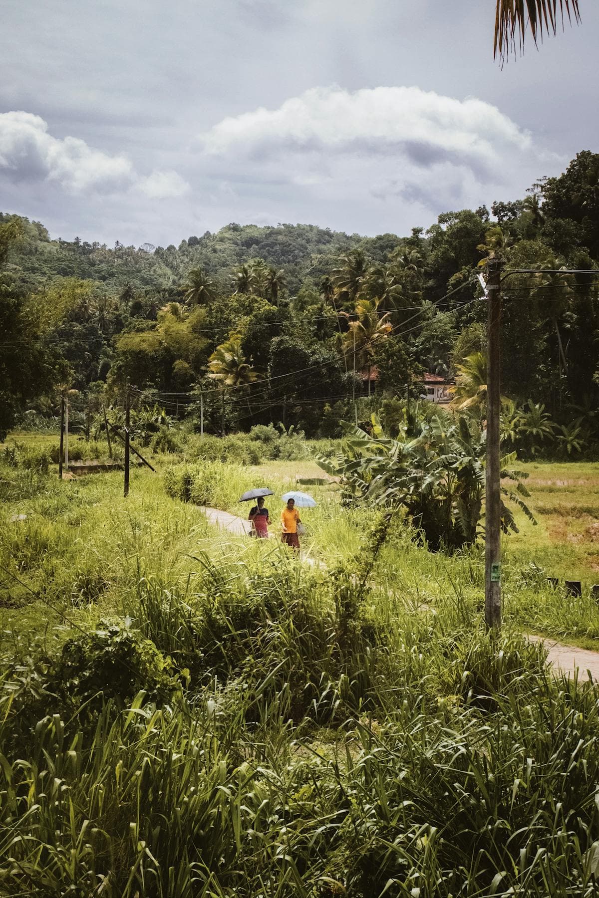 Hiriwadunna, Sri Lanka