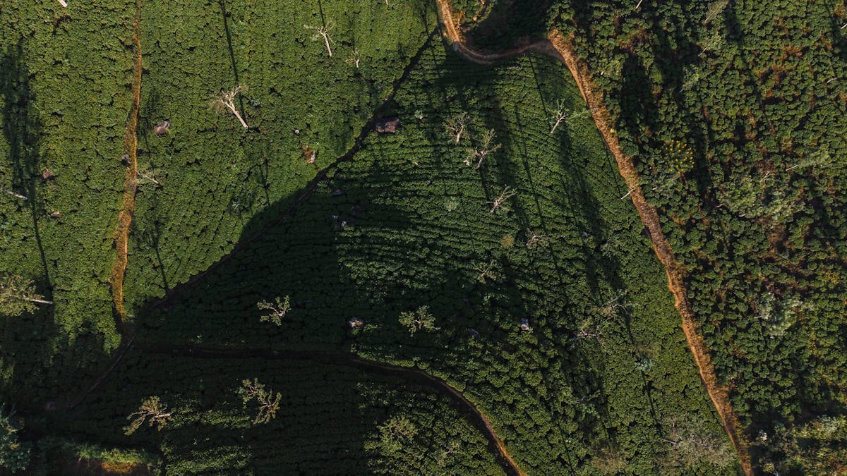 Kalpitiya, Sri Lanka