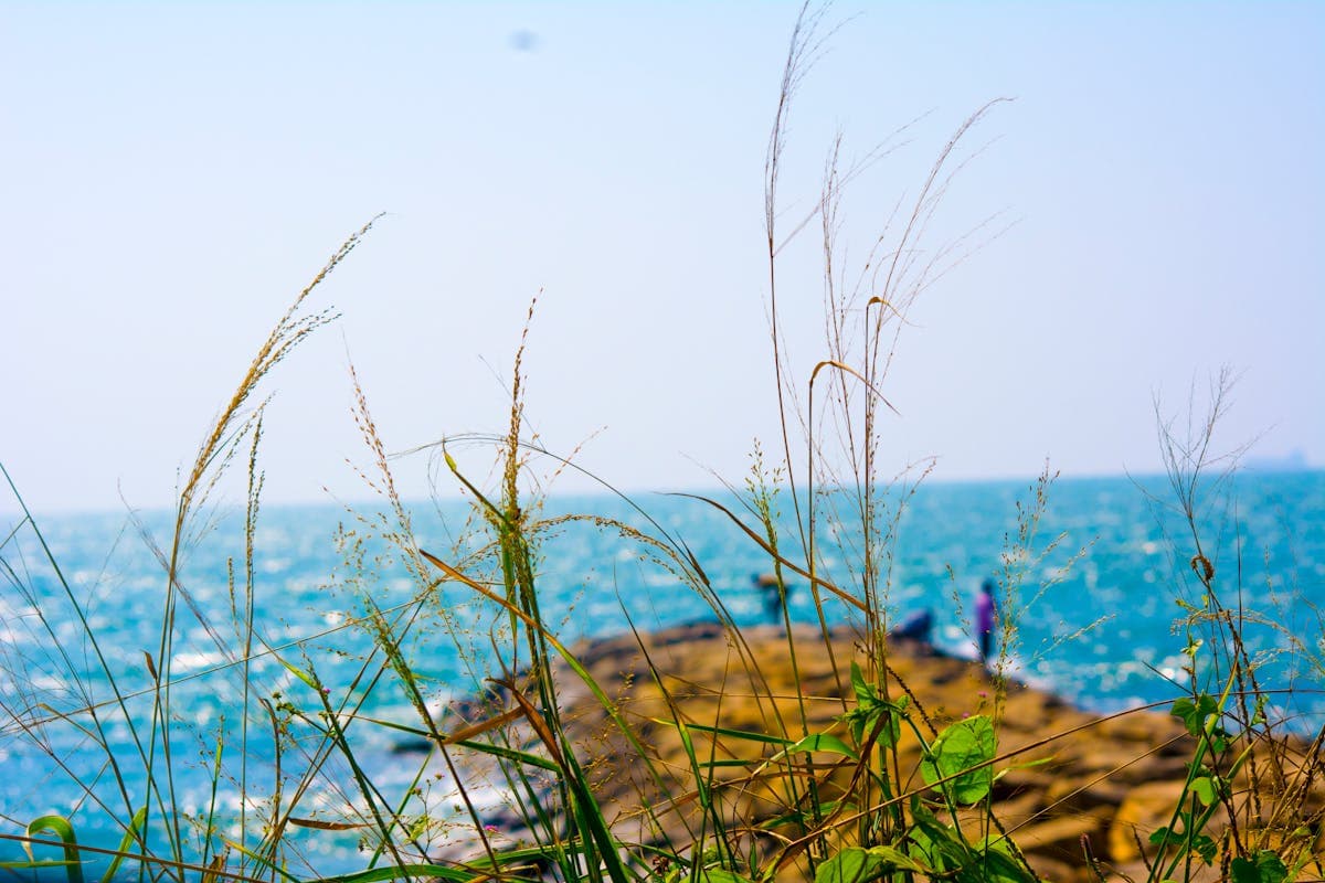 Negombo, Sri Lanka