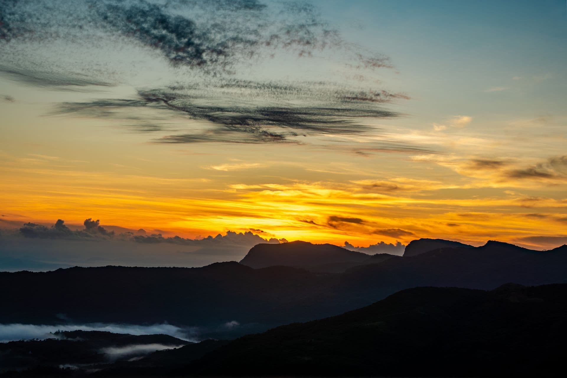Mist drifting over the tea-clad hills of the Sri Lankan highlands at dawn